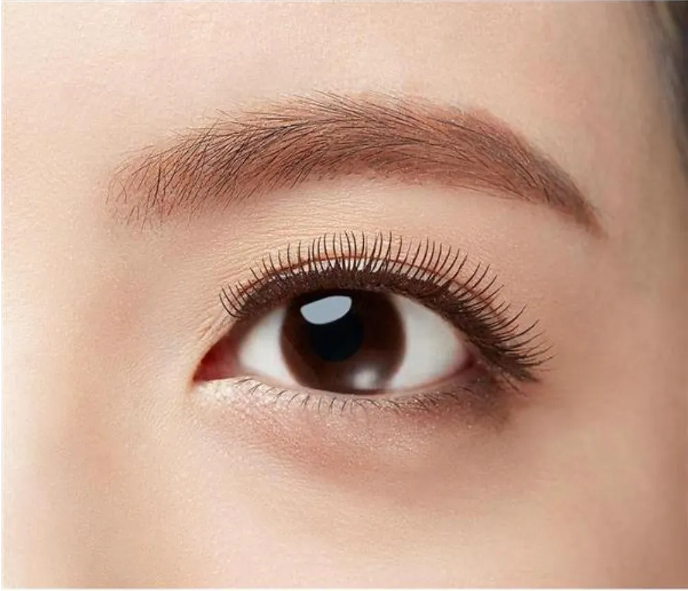 Leanani Plus Extra Curl Volume Mascara (Bronze Brown) 日本Leanani Plus 极致纤细卷翘睫毛膏 (青铜棕) 6g